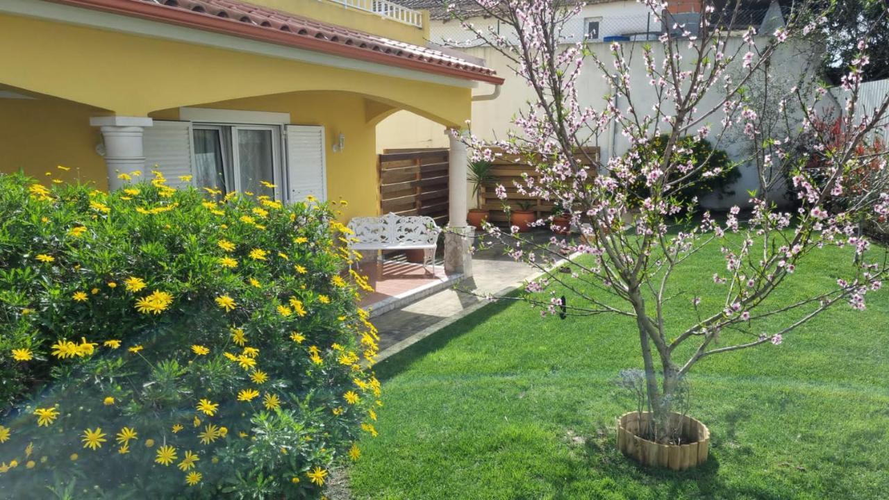 Casa Das Palmas Обидуш Экстерьер фото